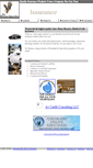 Mobile Screenshot of maningogroup.com